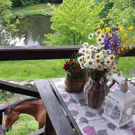Pod świerkiem * Srebrna Góra