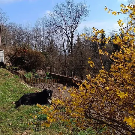 Pod Swierkiem Çiftlik konaklama *