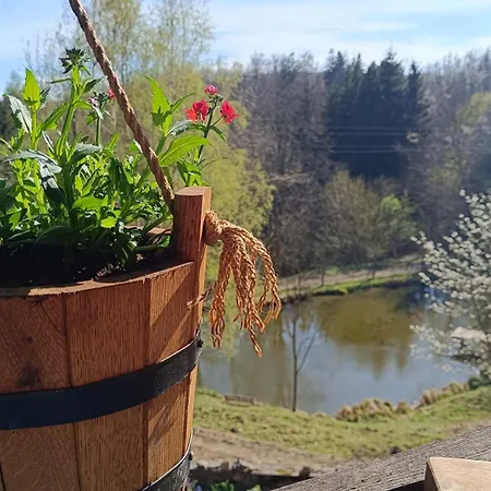 Pod świerkiem Srebrna Góra