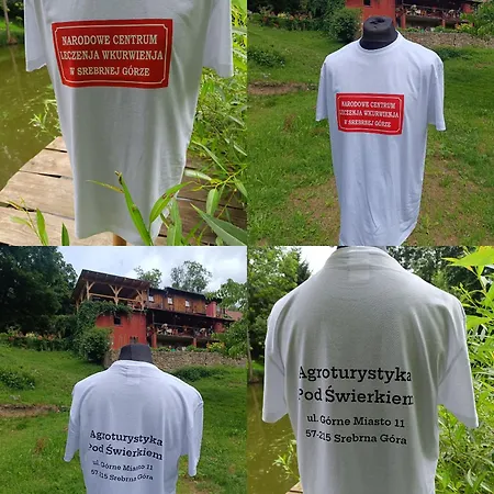 Pod Swierkiem Srebrna Góra