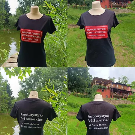 Pod Swierkiem * Srebrna Góra