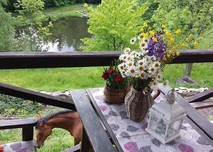 Pod Swierkiem * Srebrna Góra