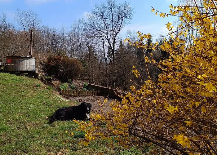 Pod Swierkiem Bauernhof *