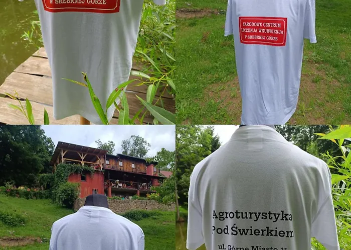 Pod Swierkiem Srebrna Góra