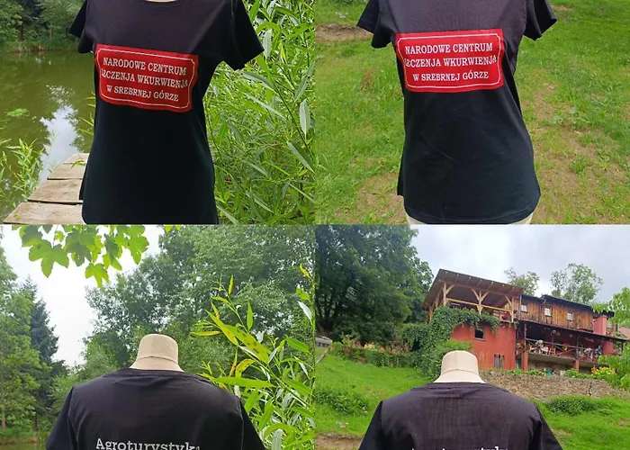 Pod Swierkiem * Srebrna Góra